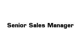 Senior Sales Manager